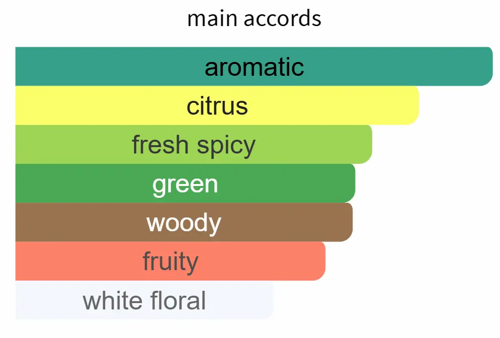 INSPIRED BY ROJA AMBER OUD - Image 2