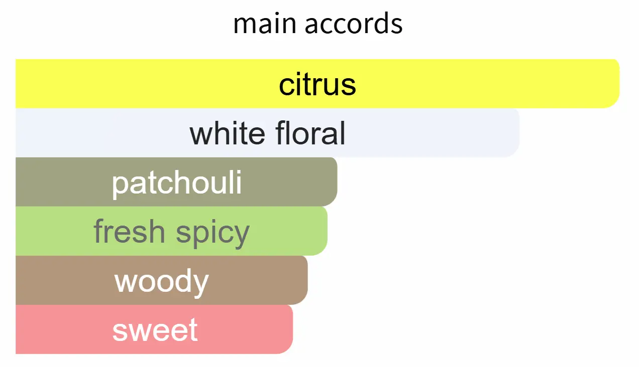 INSPIRED BY YSL MY SELF - Image 2